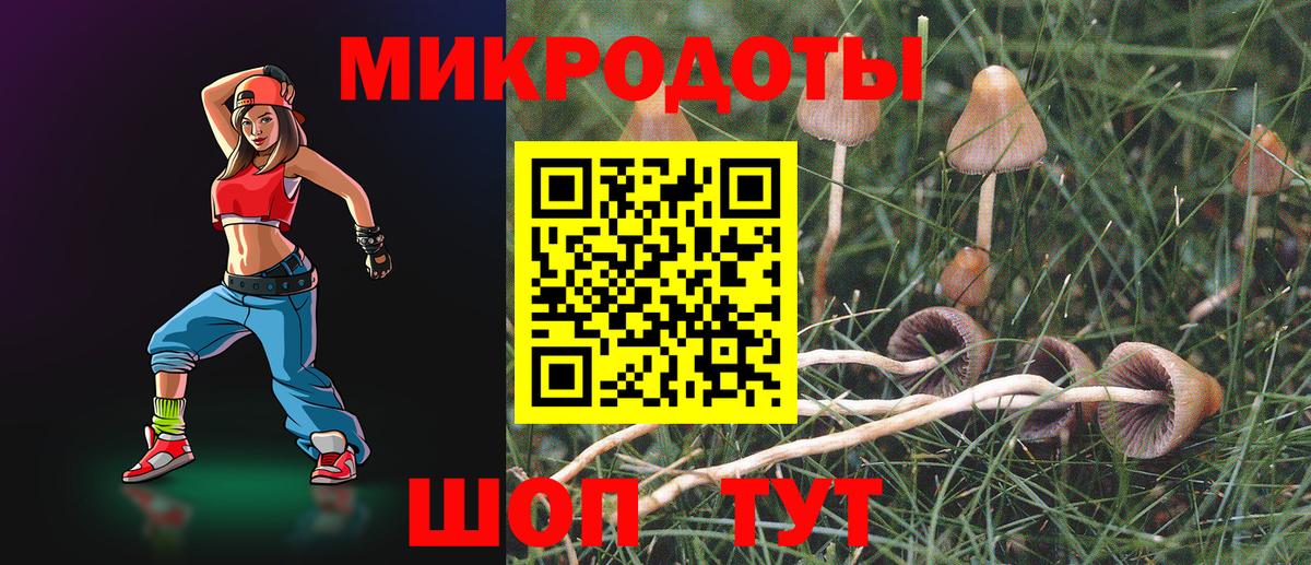 Ивантеевка  Псилоцибиновые грибы MAGIC MUSHROOMS  Вход с VPN 